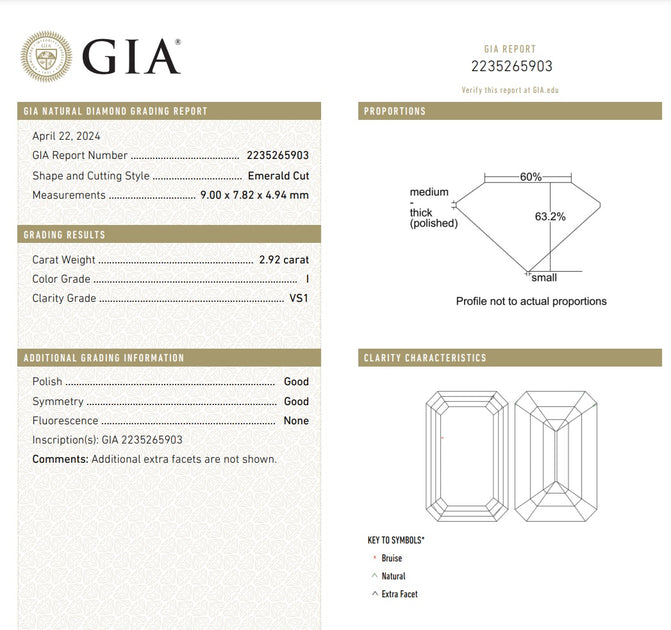 2.92ct Natural Emerald Cut Diamond – Roxbury Jewelry