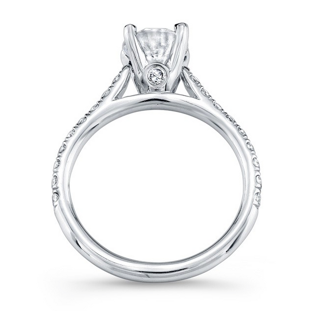 Diamond Cathedral-Style Engagement Ring with Diamond Accent on Profile